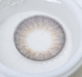 Olola Dazzling 3Color 1Day Ice Gray (10p)